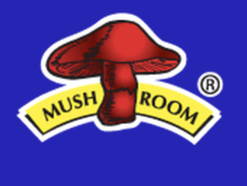 QL MUSHROOM 香菇牌